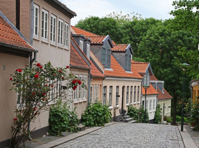 architecture-cobblestone-street-daylight-772177.jpg